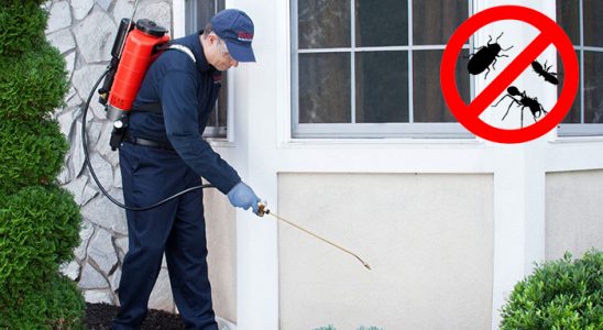 Akyurt Bit İlaçlama böcek ilaçlama ve haşere kontrolü — ilaclama-tr.com